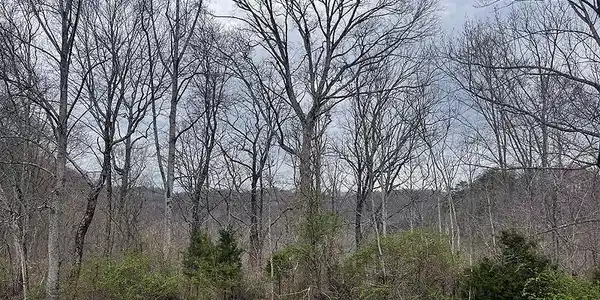 Lot 4 Hickory Point