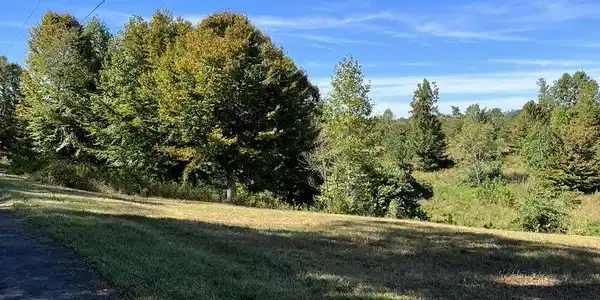 26 Twin Creeks Loop