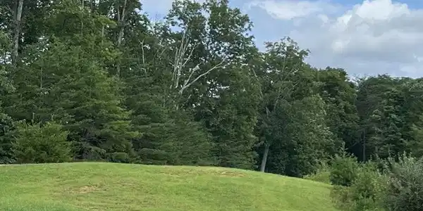 19 Twin Creeks Loop