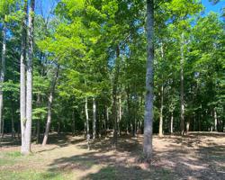 28 Briar Ridge Drive