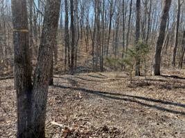 288 Lonesome Trail