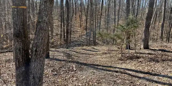 288 Lonesome Trail