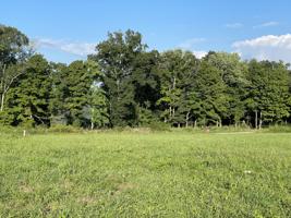 547 Chelsie Lane (Lot 2)