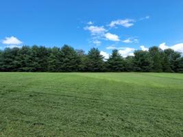 34 Colson Cove