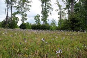 Lot 100 Cumberland Shores