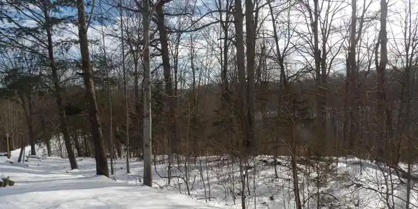 Track 5 Hickory Point
