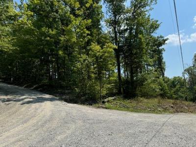 Lots 1-4 Dixie Bend Road