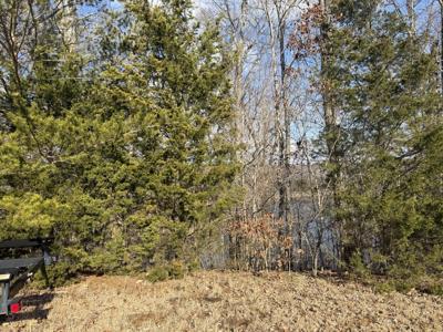Lot 17 Wooldridge Road