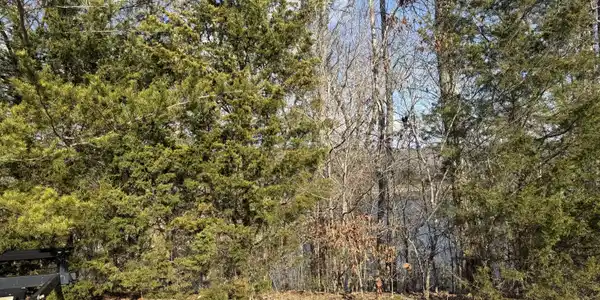 Lot 17 Wooldridge Road