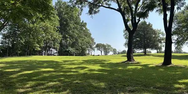 5 Cherry Loop