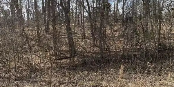 Lot 2 North Fork Road