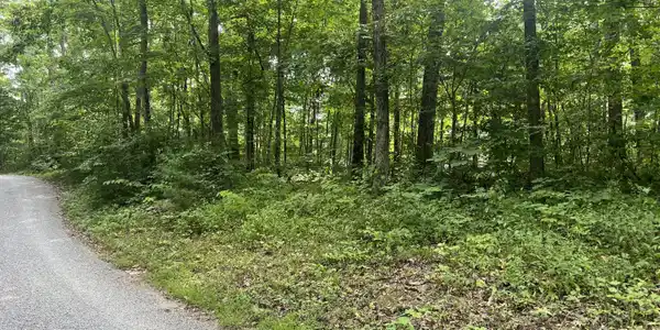 52-54 Overlook Trail