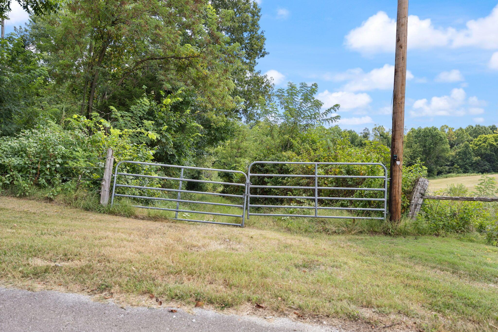 Image 4: 3-web-or-mls-413A1683