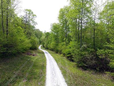 Tract 13 Dogwood Drive