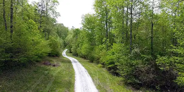 Tract 13 Dogwood Drive