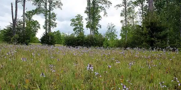 Lot 100 Cumberland Shores
