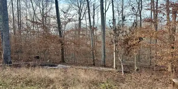Tract 11 Campbell Road