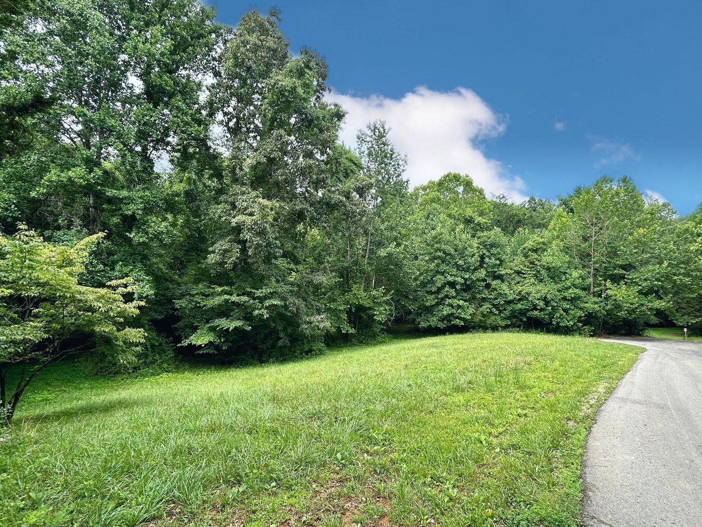 Image 4: 700 beechwood