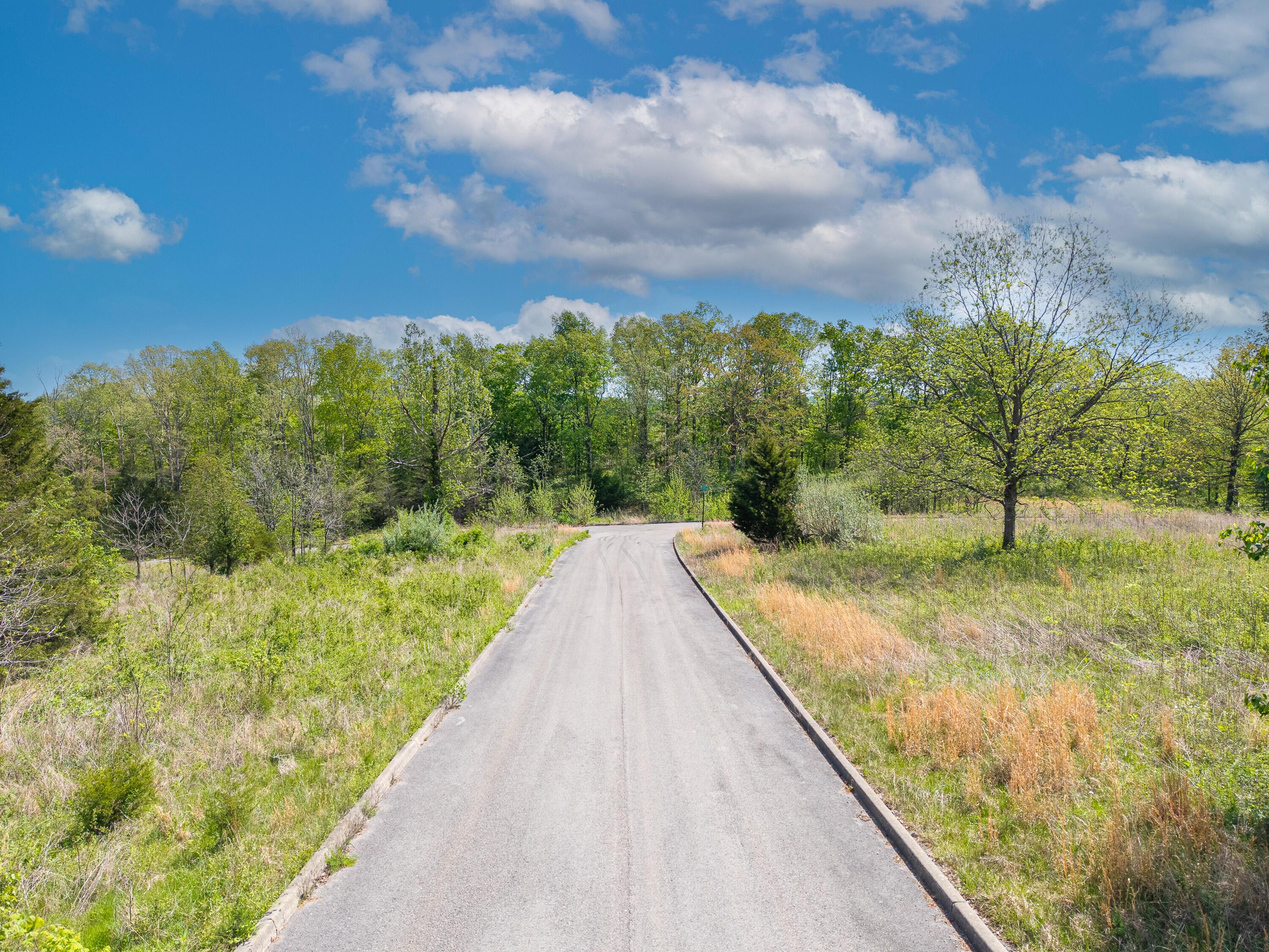 Image 4: Aderholt Road-17