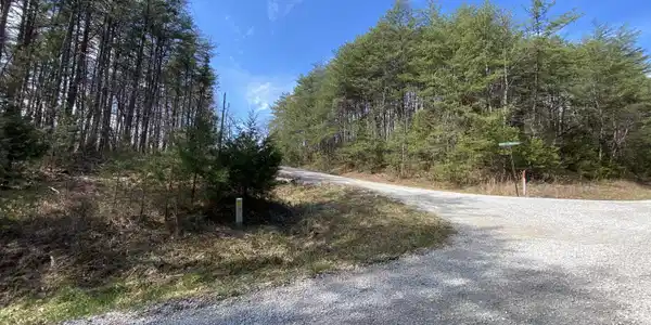 E12 Pine Tree Estates