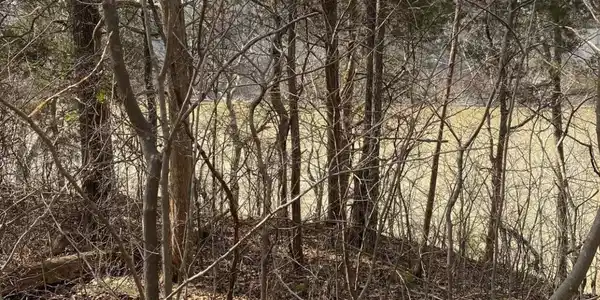 Lot 3 North Fork Road