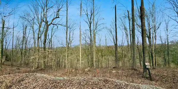 Lot 92 Cascade Circle