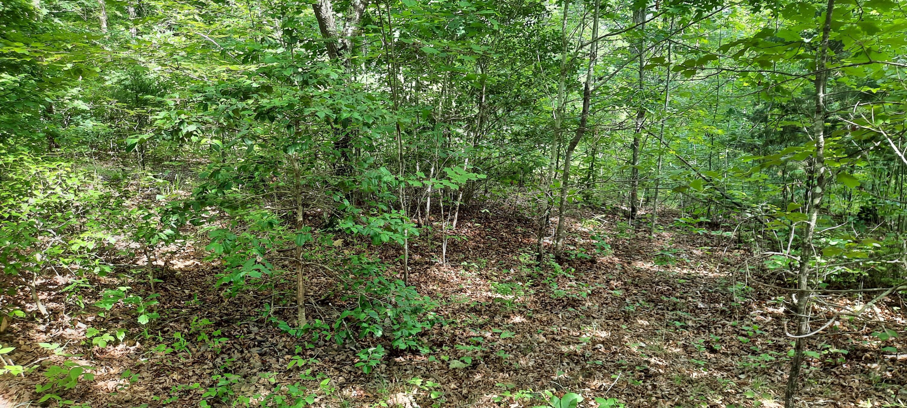 Image 3: 20210712_164312
