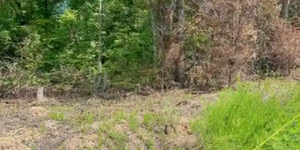 Lot 6 Block E Unit 3 Parrott Drive