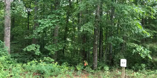 67 Sunset Cove Trail