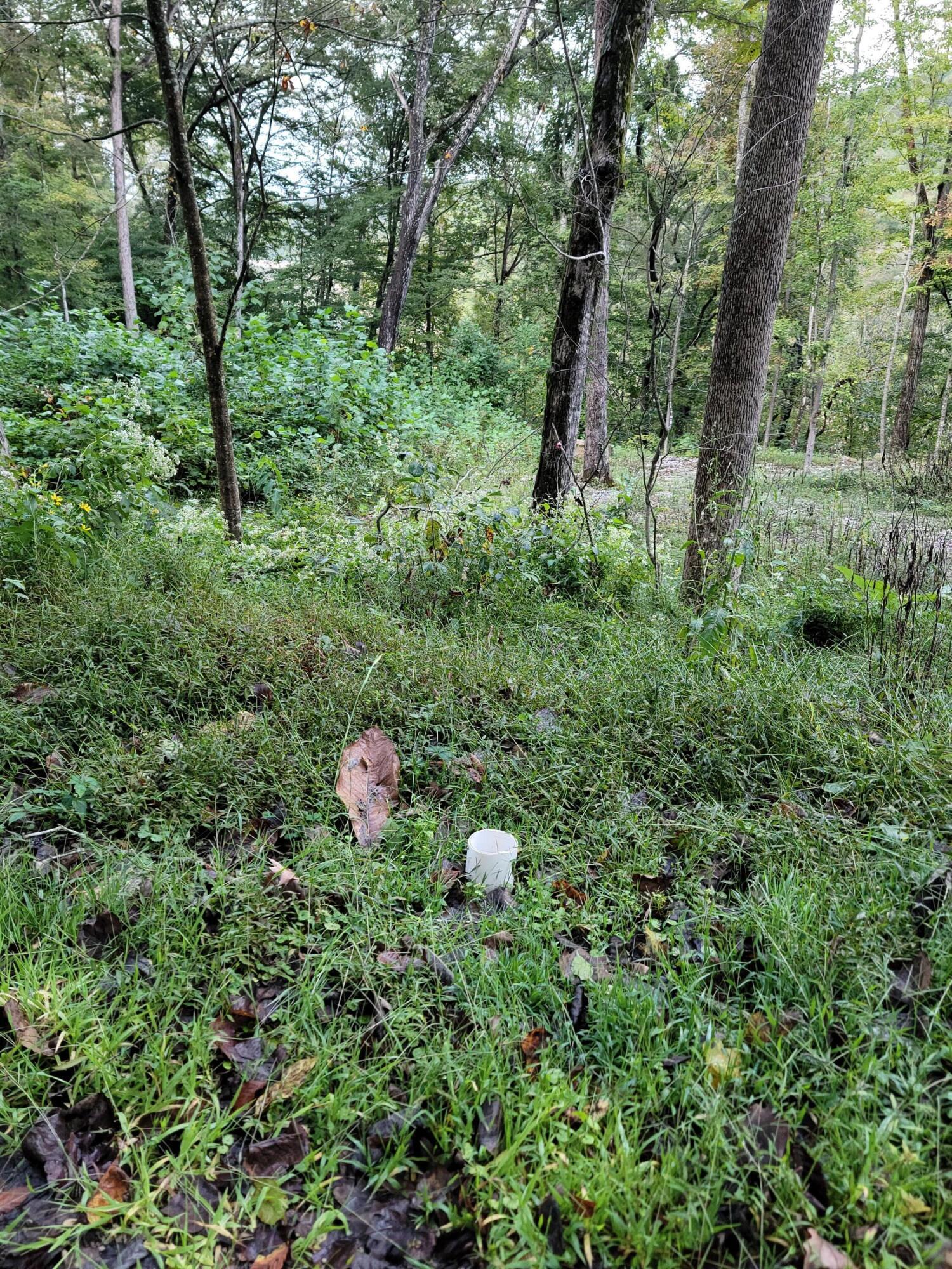 Image 2: 20240929_180146