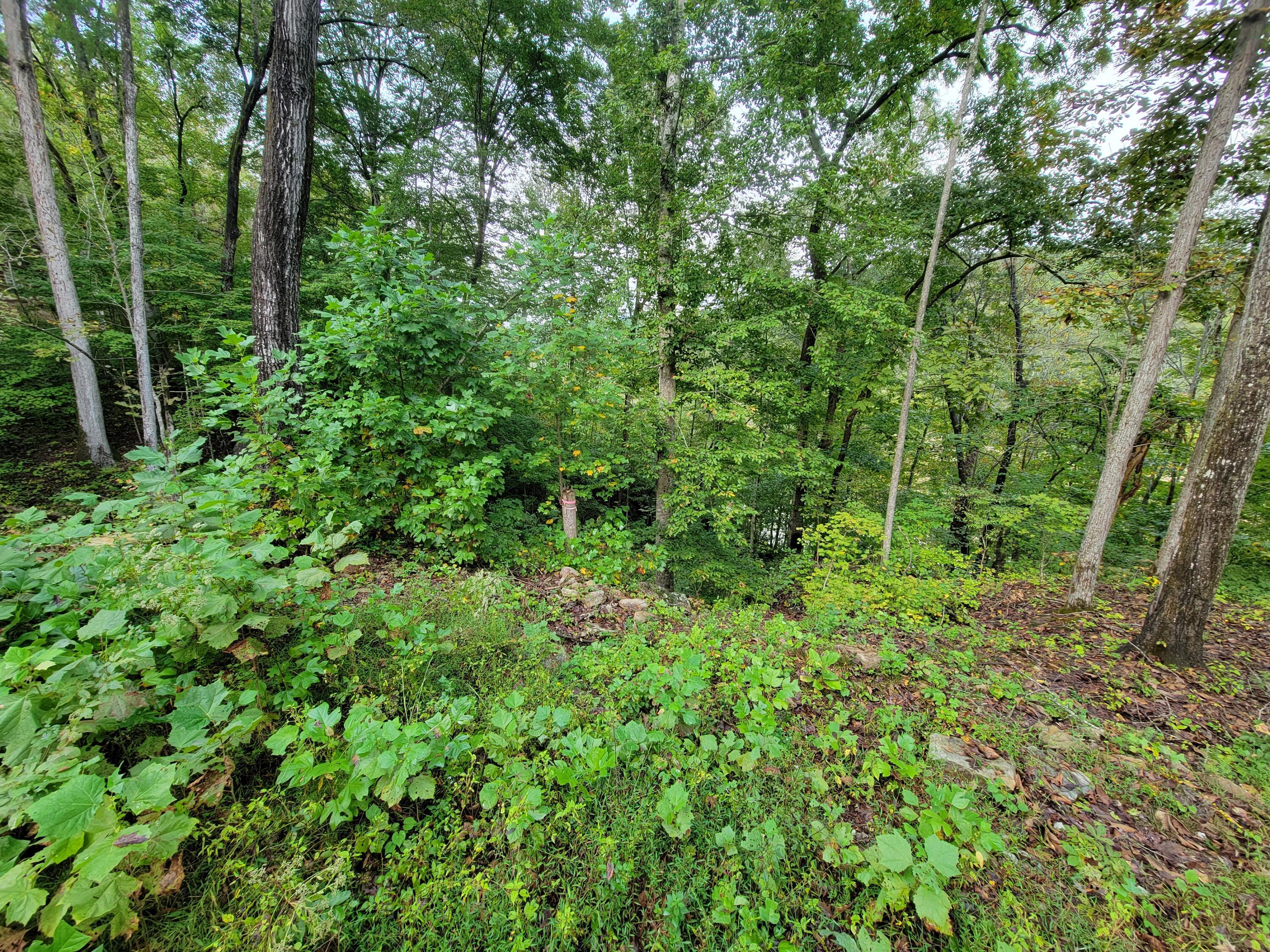 Image 4: 20240929_175355