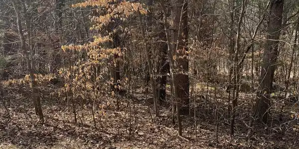 Lot 20 North Fork Road
