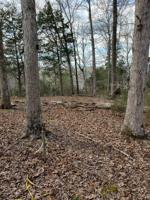 255 Beech Grove Drive Drive