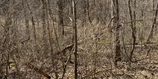 Lot 882 Stonegate Drive