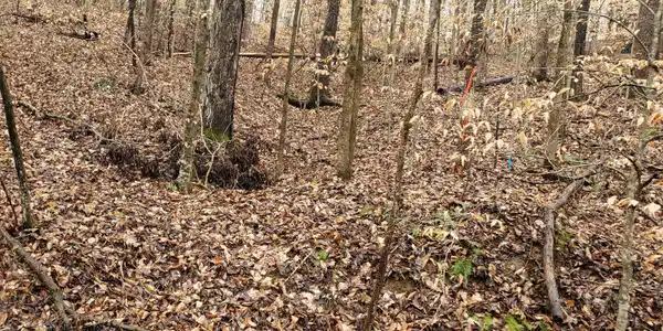 Tract 9 Taylors Trace