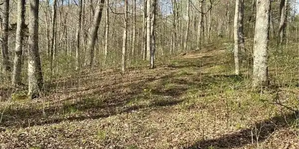 0 Beaver Lodge Sub