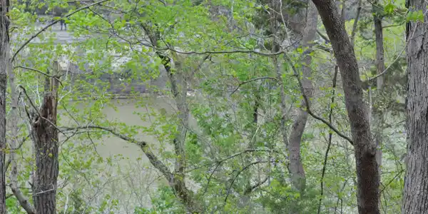 Lot 8 North Fork Drive