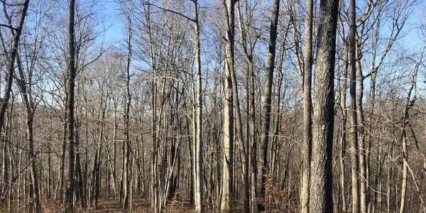 126 Waterfall Trail