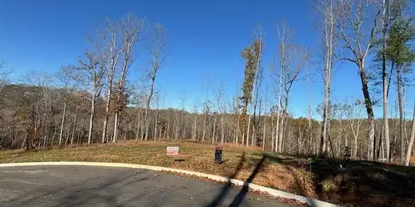 246 Woods Creek Lake Drive