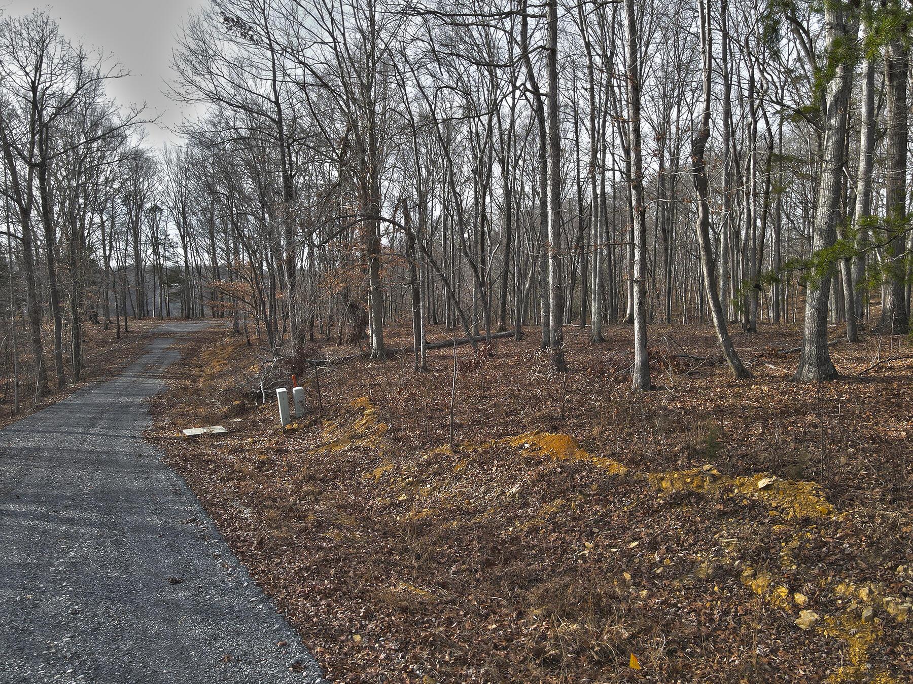 Image 4: Lakeridge_Est.059