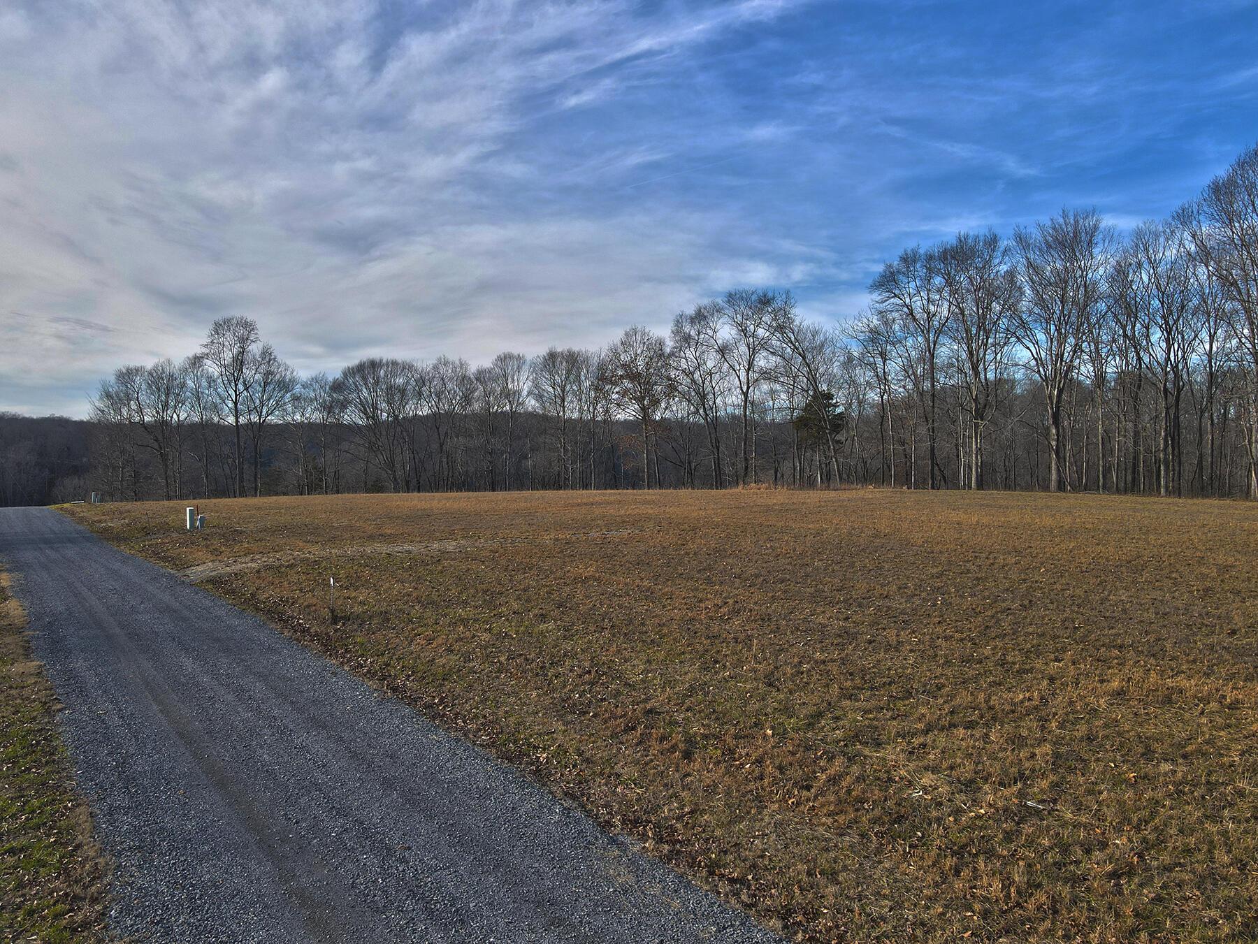 Image 1: Lakeridge_Est.008