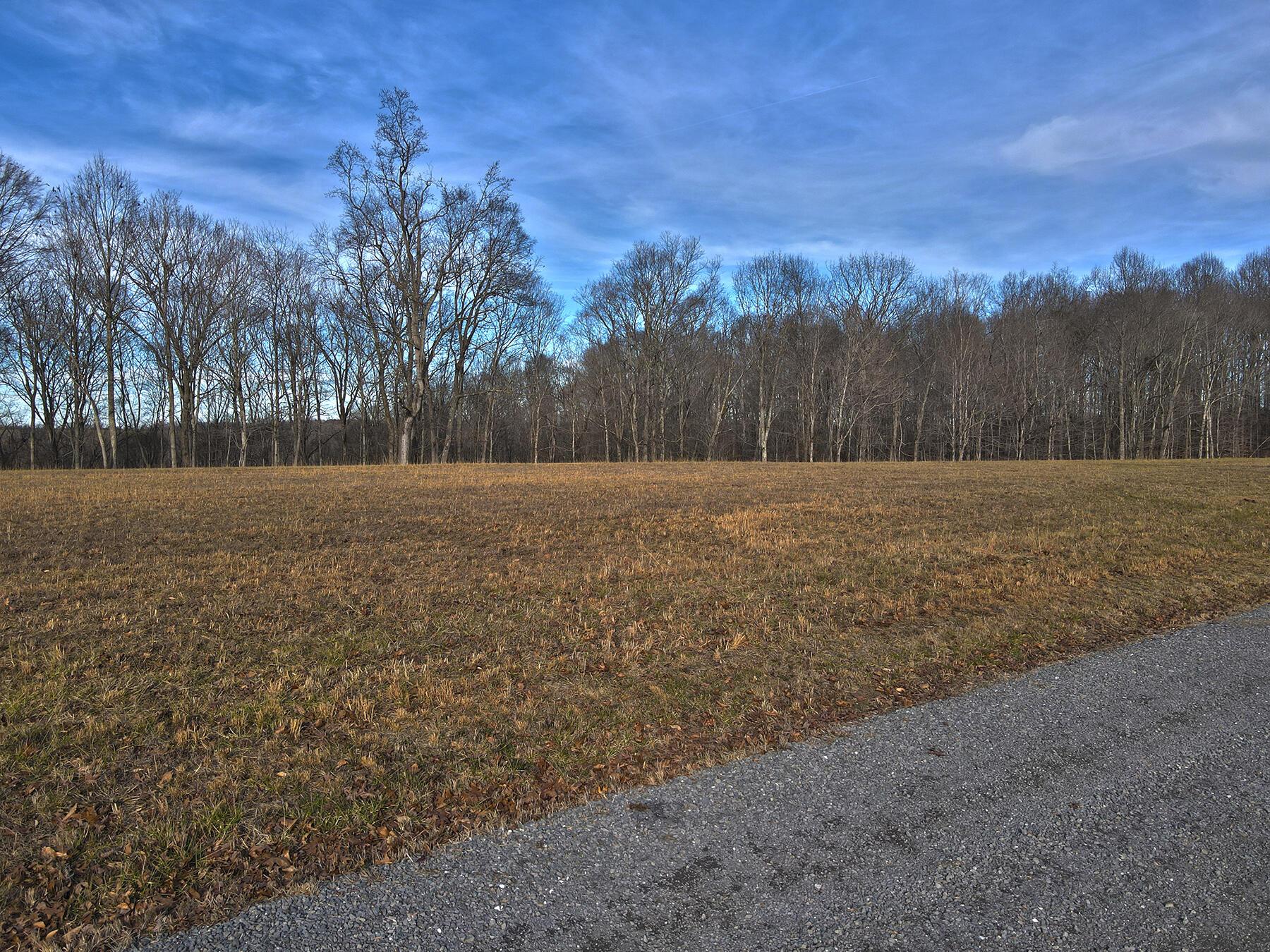Image 4: Lakeridge_Est.012