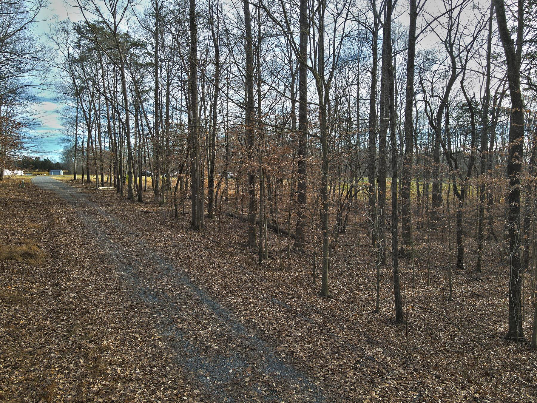 Image 3: Lakeridge_Est.036