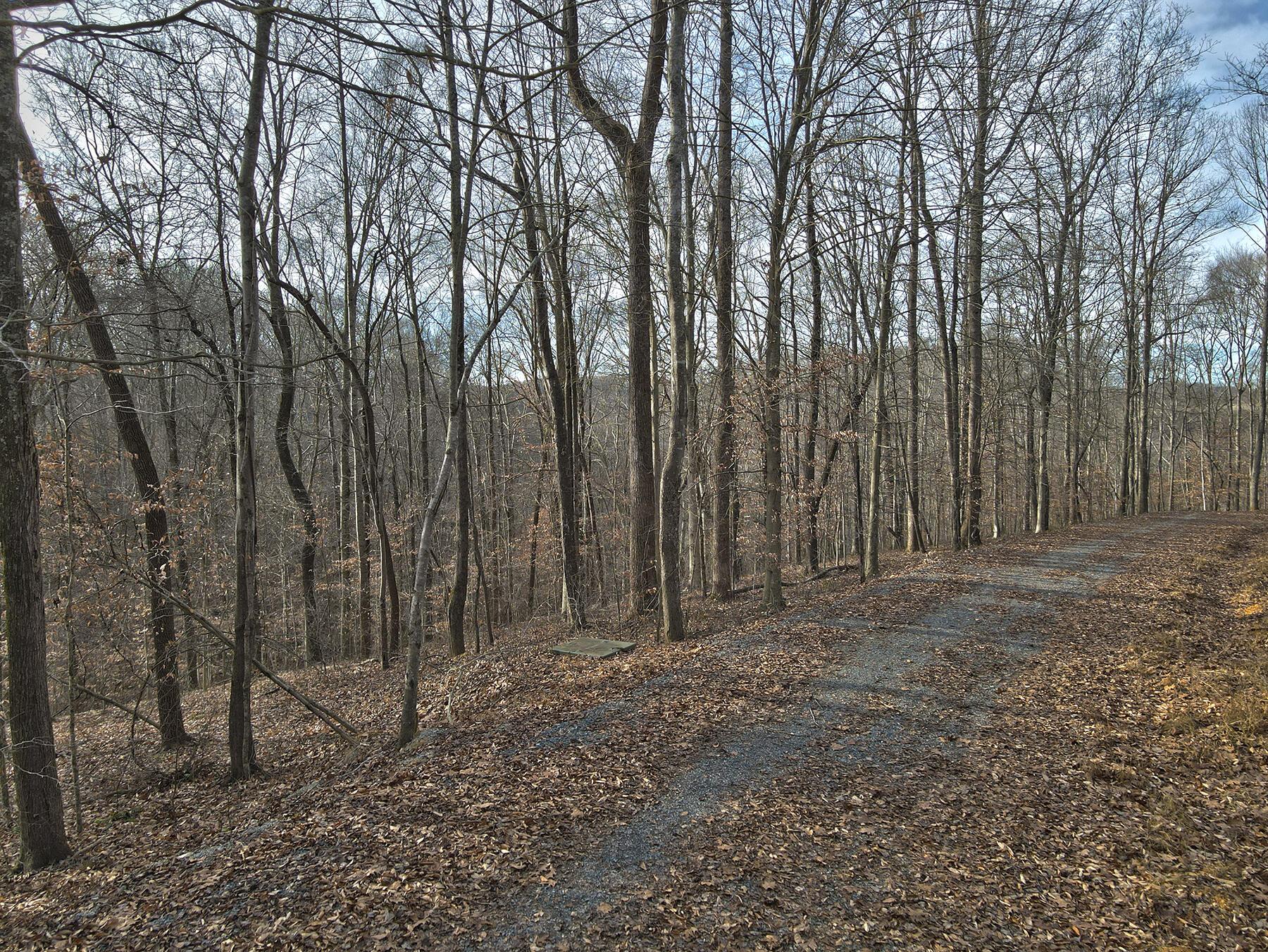 Image 4: Lakeridge_Est.037