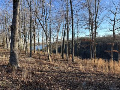 31 Lazy Trail