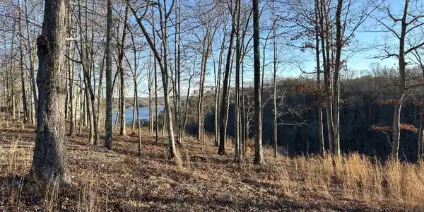 31 Lazy Trail