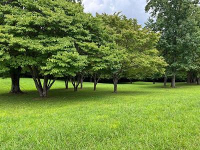 Lot 22&23 Cherry Loop