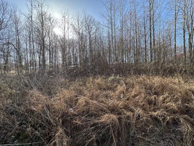 Lot 4B Beechwood Road