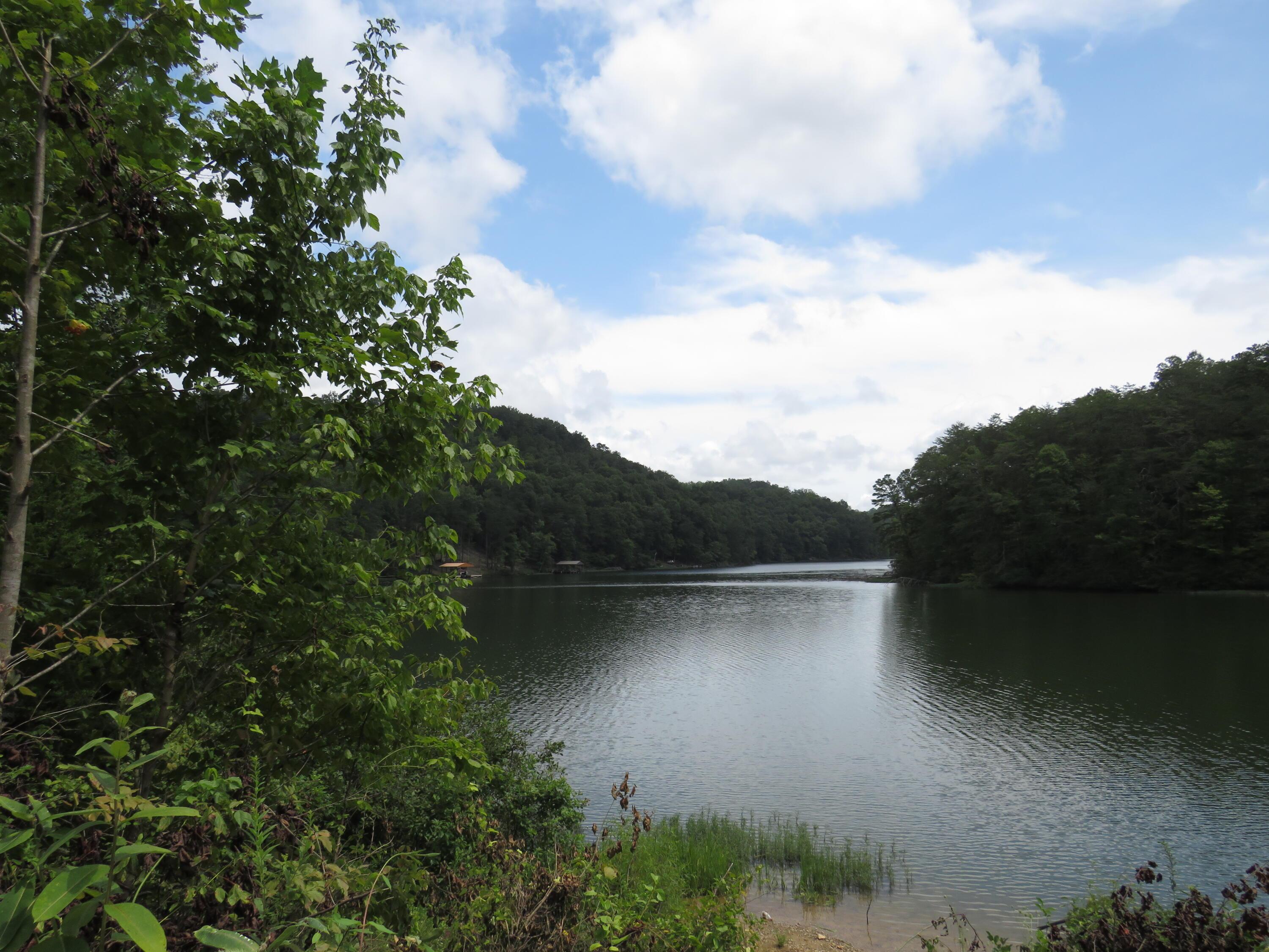 Image 1: IMG_4284