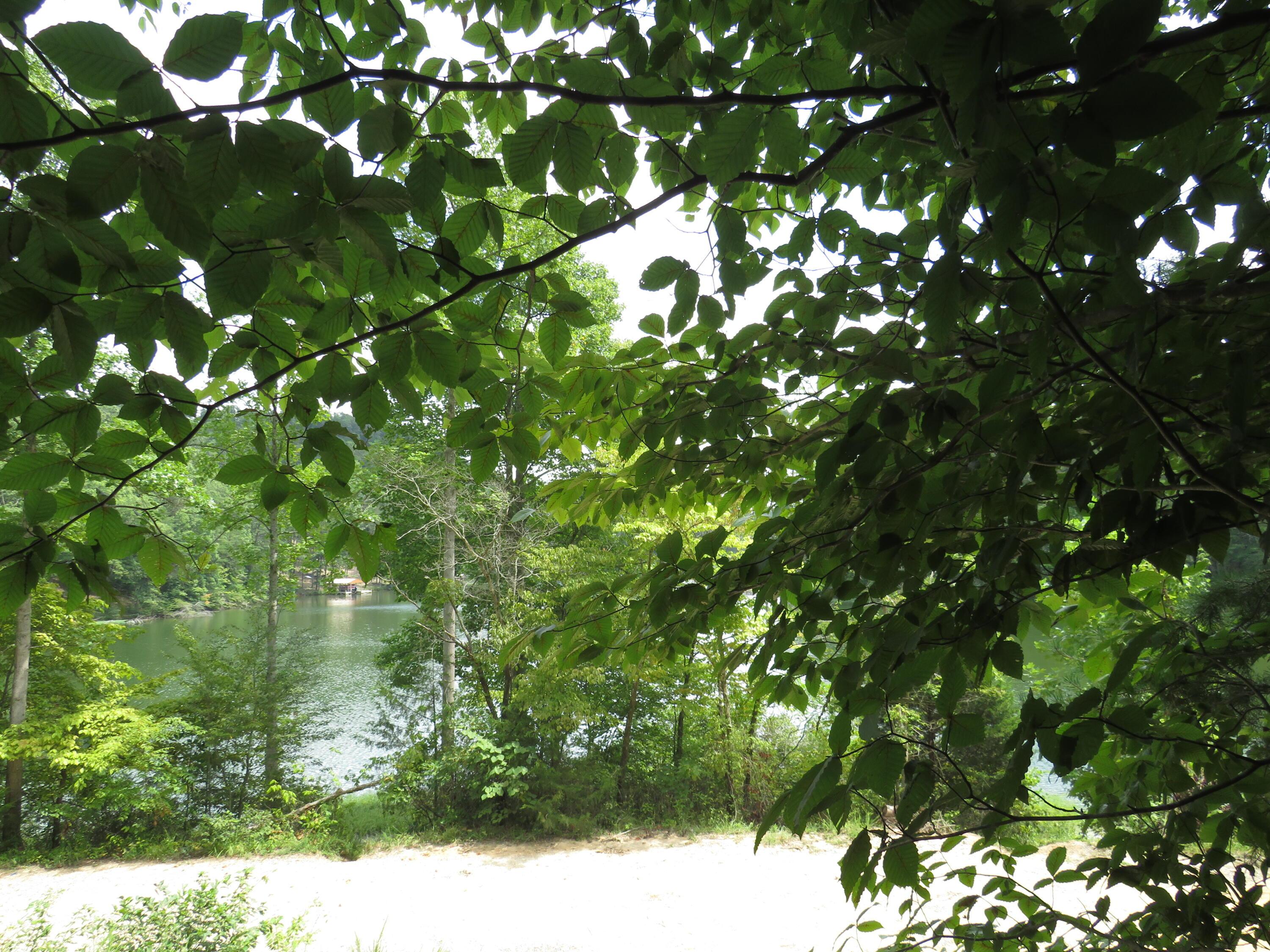 Image 3: IMG_4282